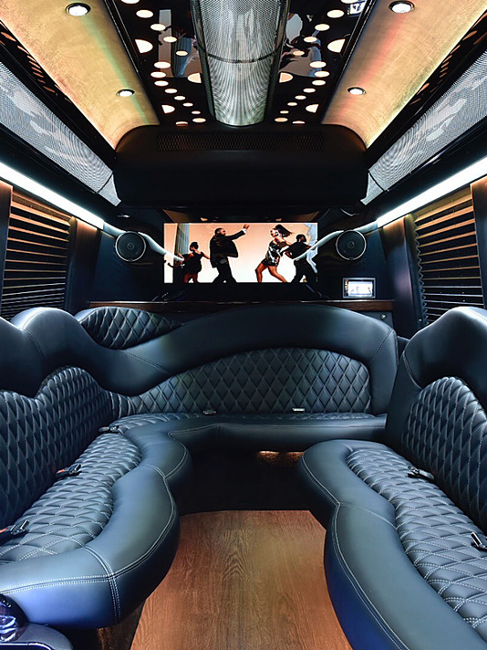 Boston, MA wedding limousine bus interior phillips fairy tale weddings